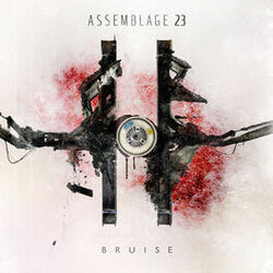 Picture of Assemblage 23