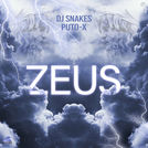 Dj Snakes