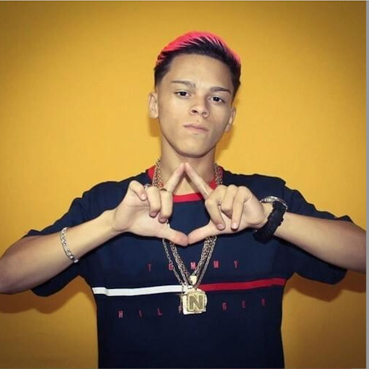 Artist picture of Dj Serpinha