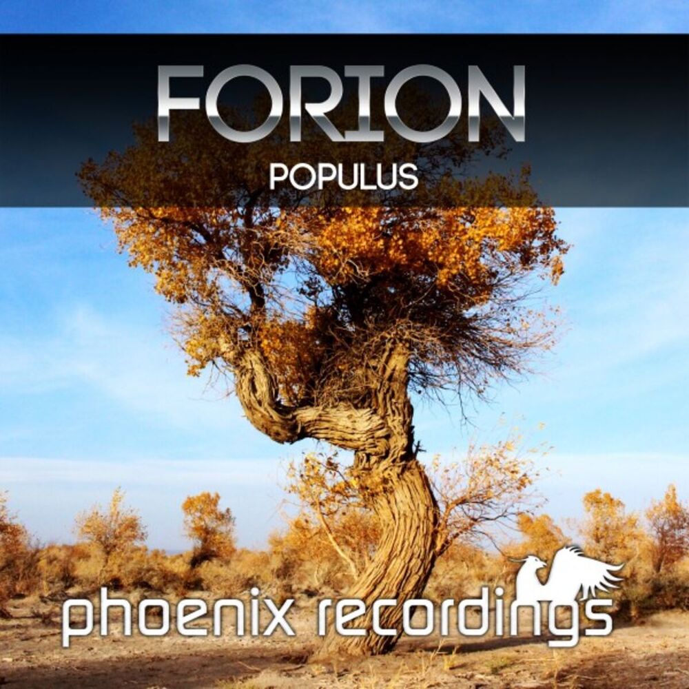 Picture of Forion