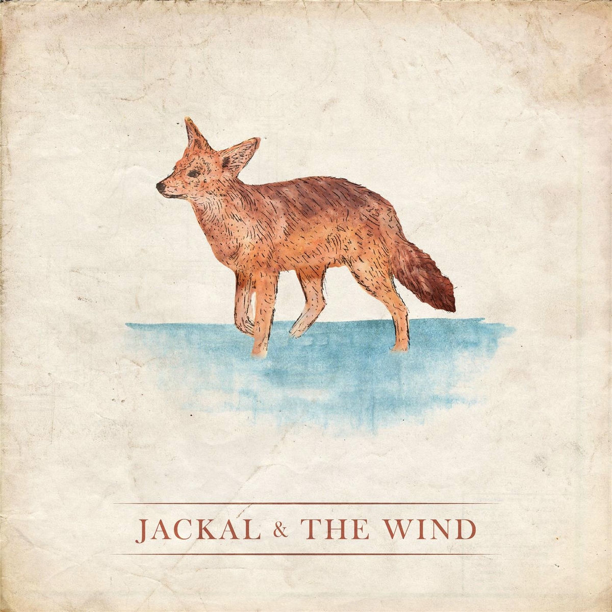 Jackal & the Wind
