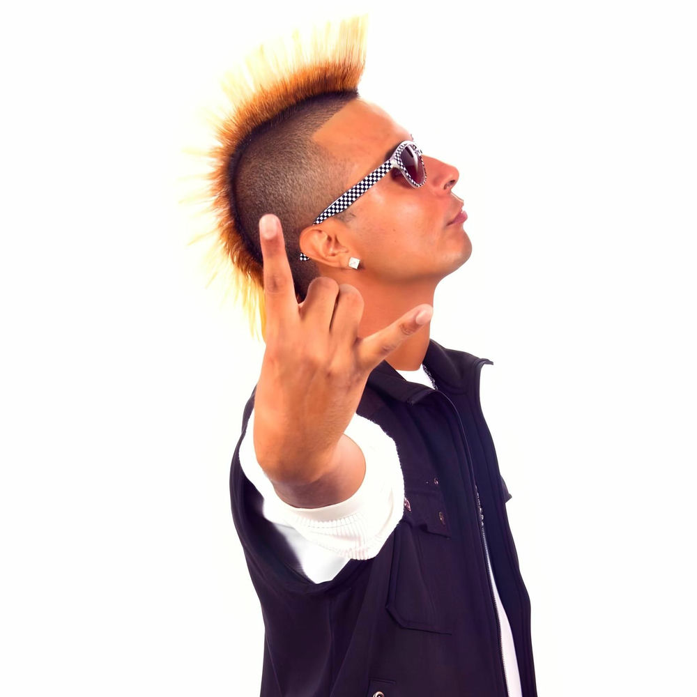 Photo de l'artiste Sir Speedy