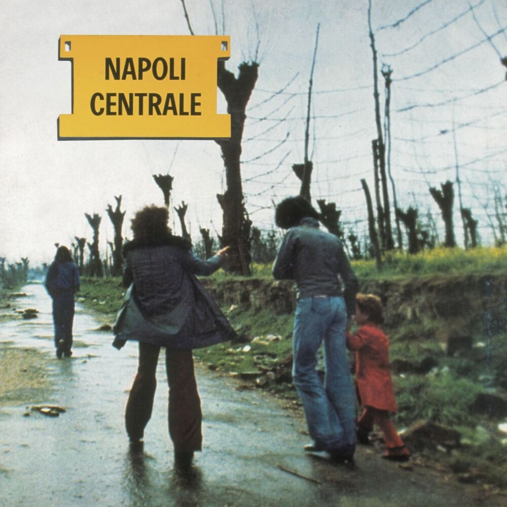 Picture of Napoli Centrale