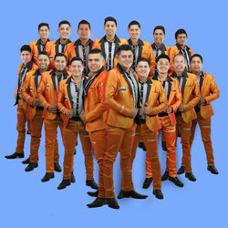 Picture of Banda Lirio