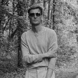 Picture of Ozark Henry