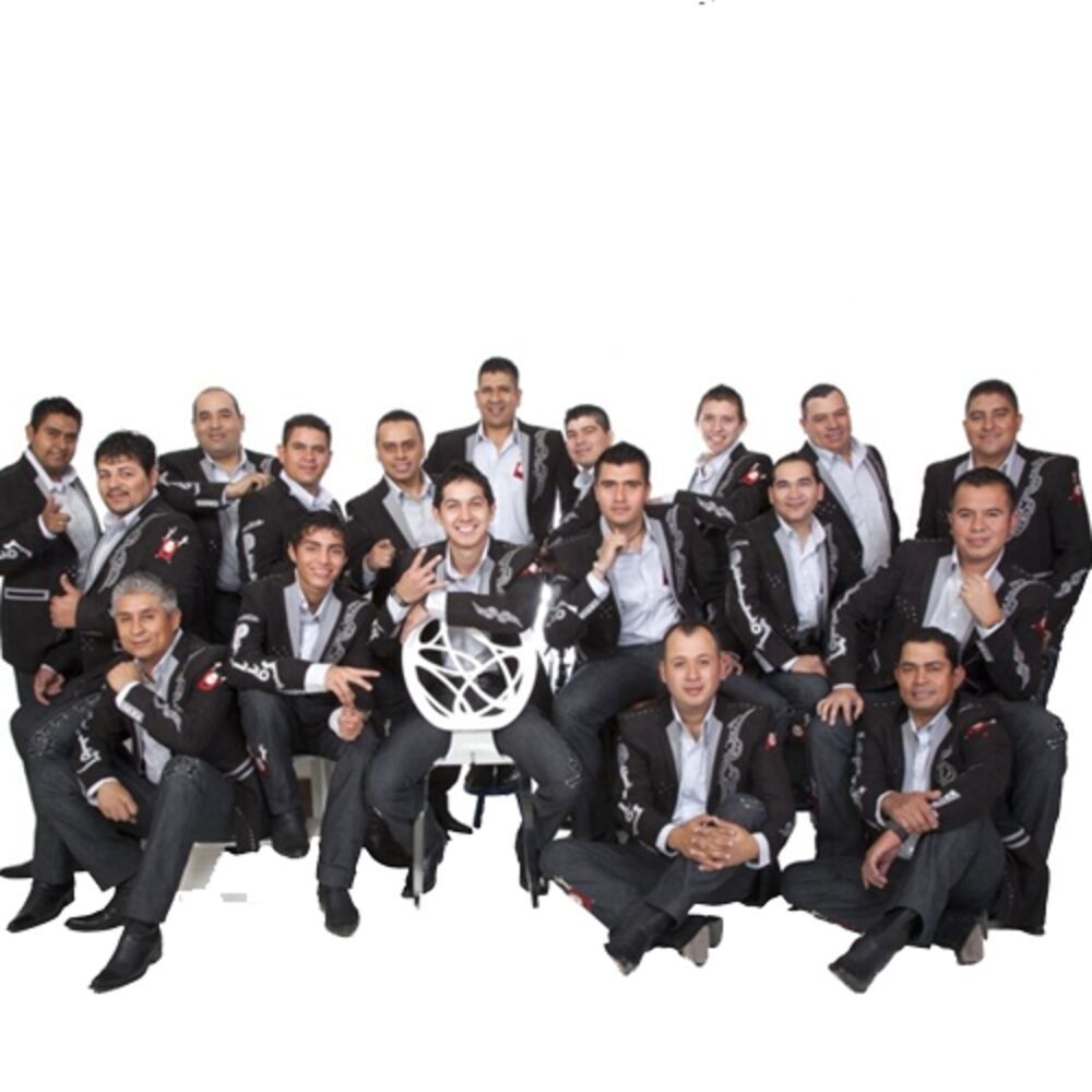 Picture of Banda Pelillos