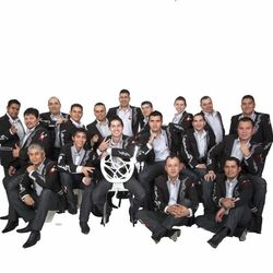 Picture of Banda Pelillos