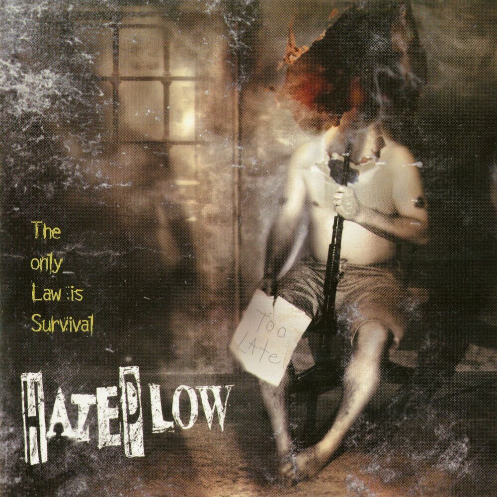 Picture of Hateplow