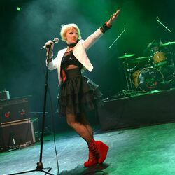 Picture of The Primitives