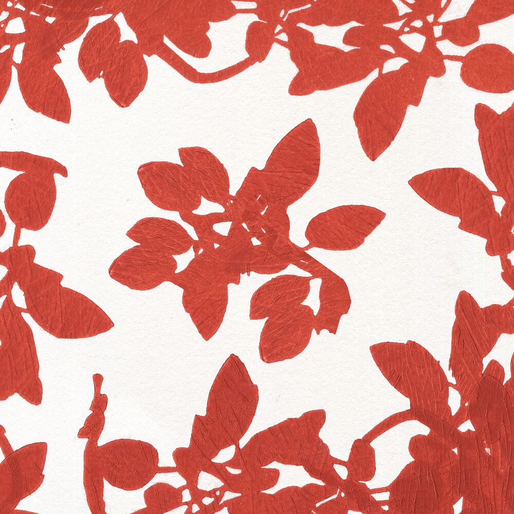 Photo de l'artiste Middle Name Dance Band