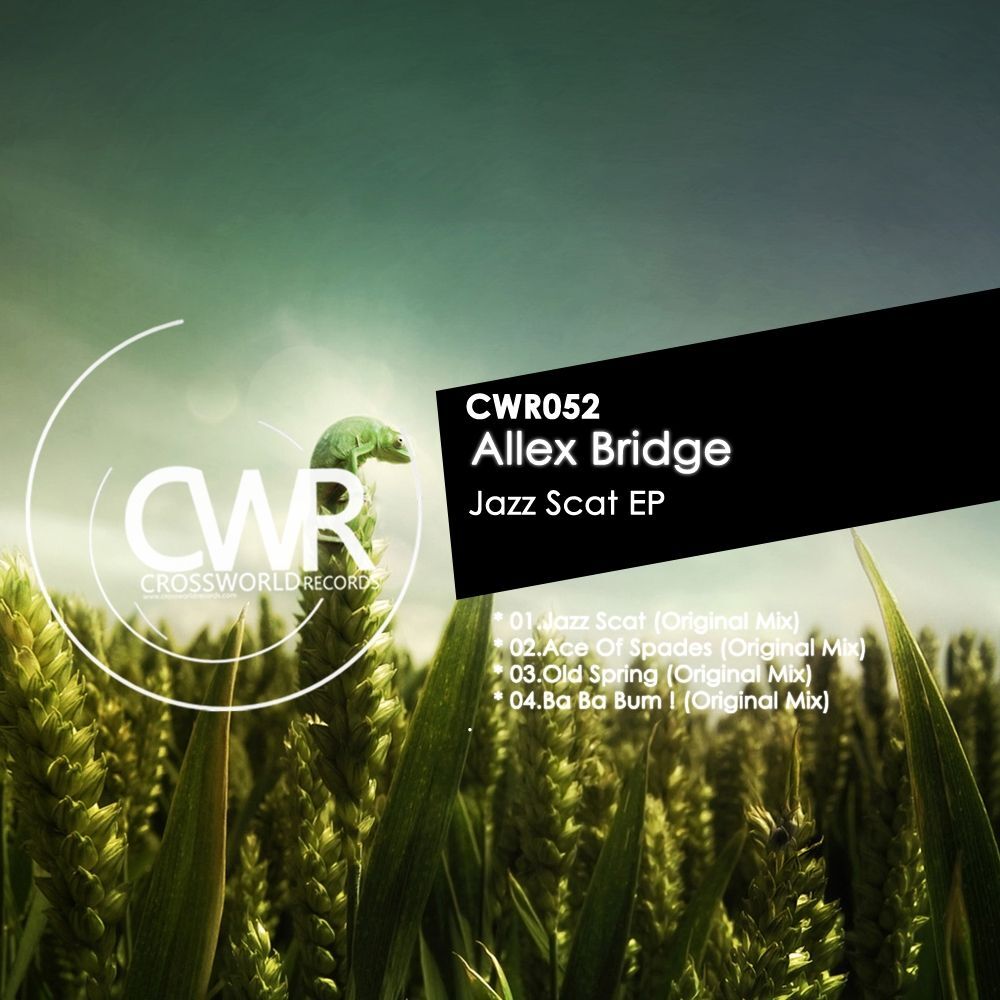 Picture of Allex Bridge