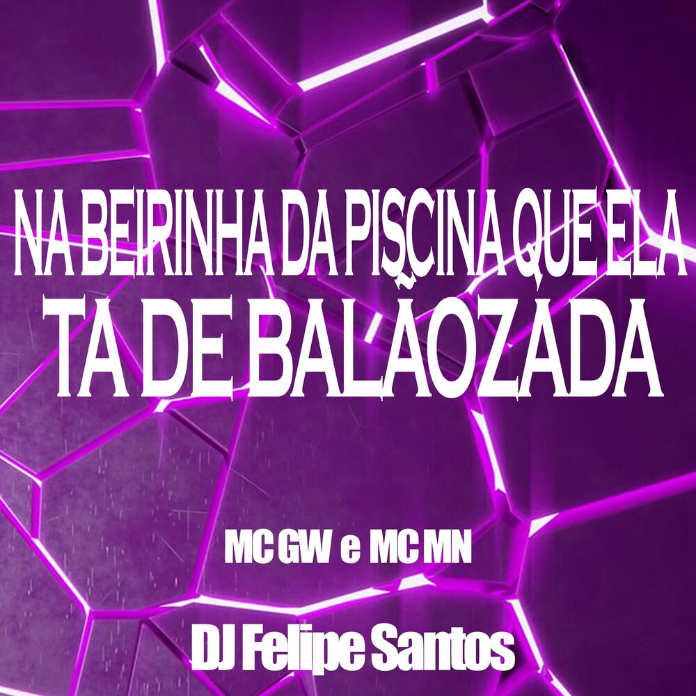Picture of dj felipe santos