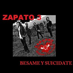 Picture of Zapato 3