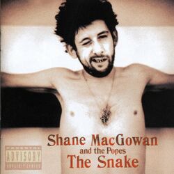 Picture of Shane Macgowan & the Popes