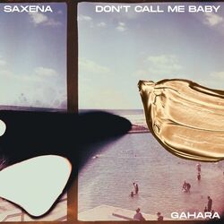 Picture of Saxena