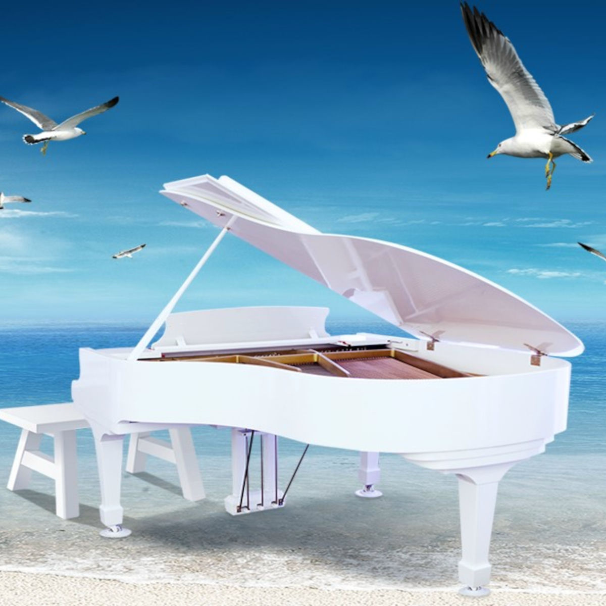 Artist picture of Damien Dubois