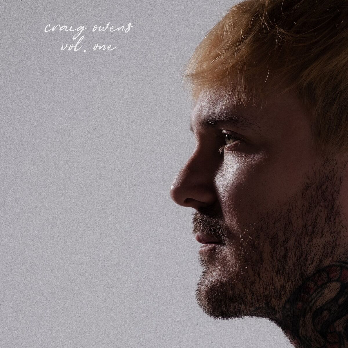 Craig Owens