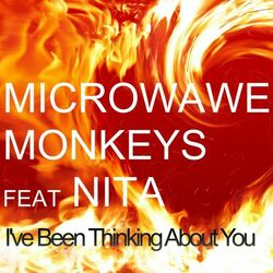 Picture of Microwave Monkeys
