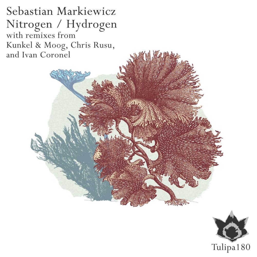 Picture of Sebastian Markiewicz
