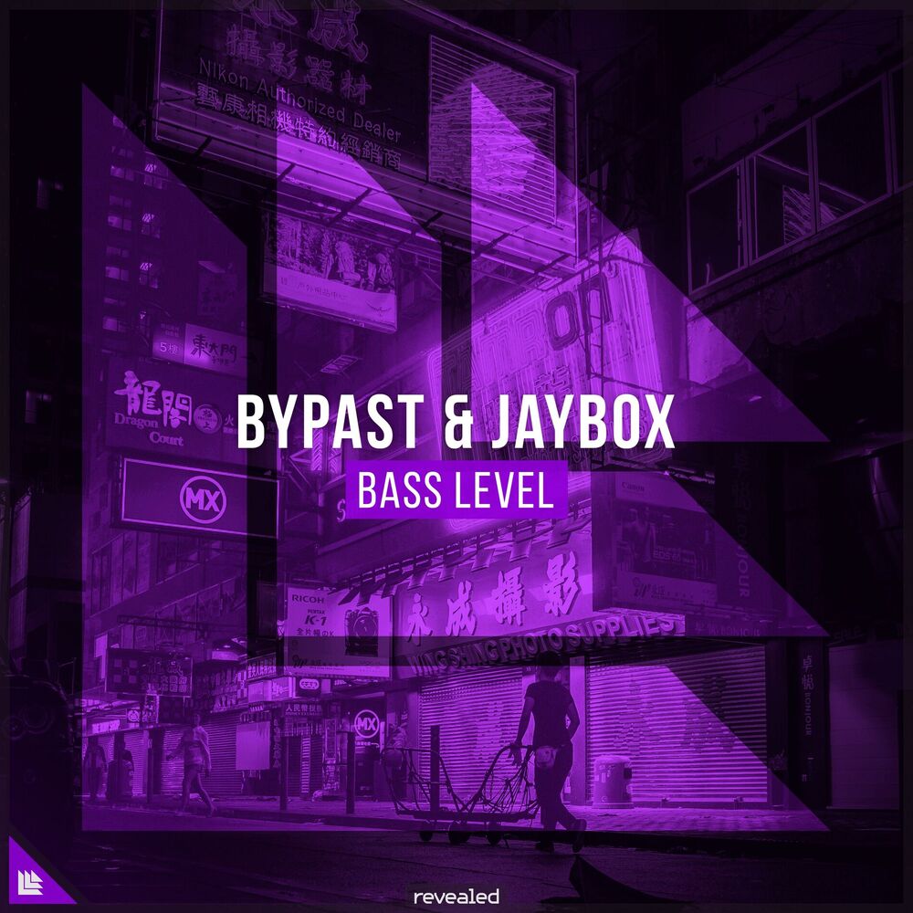 Picture of BYPAST