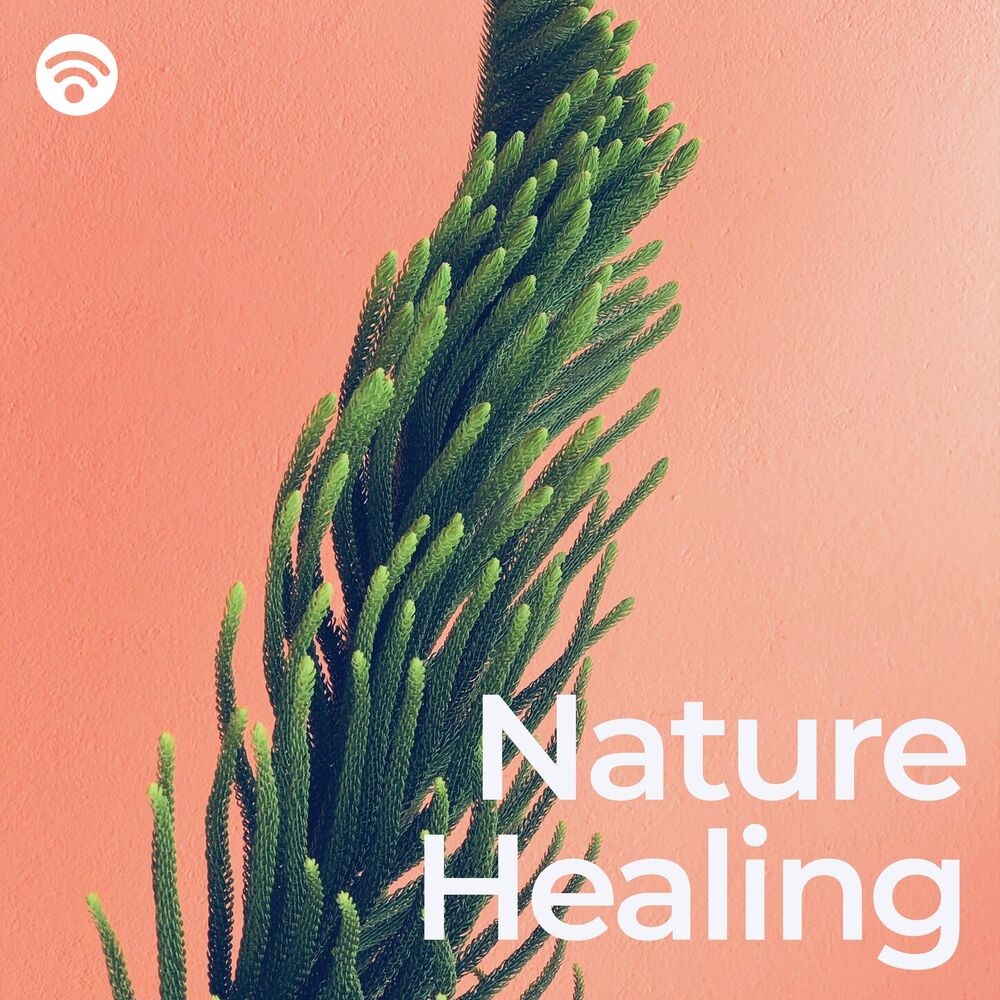 Picture of Reiki Healing Music Consort