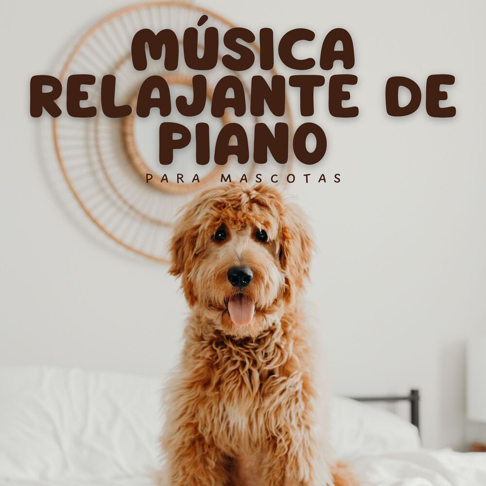 Picture of Tortuga de piano soñolienta