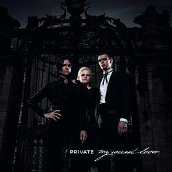 Picture of Private