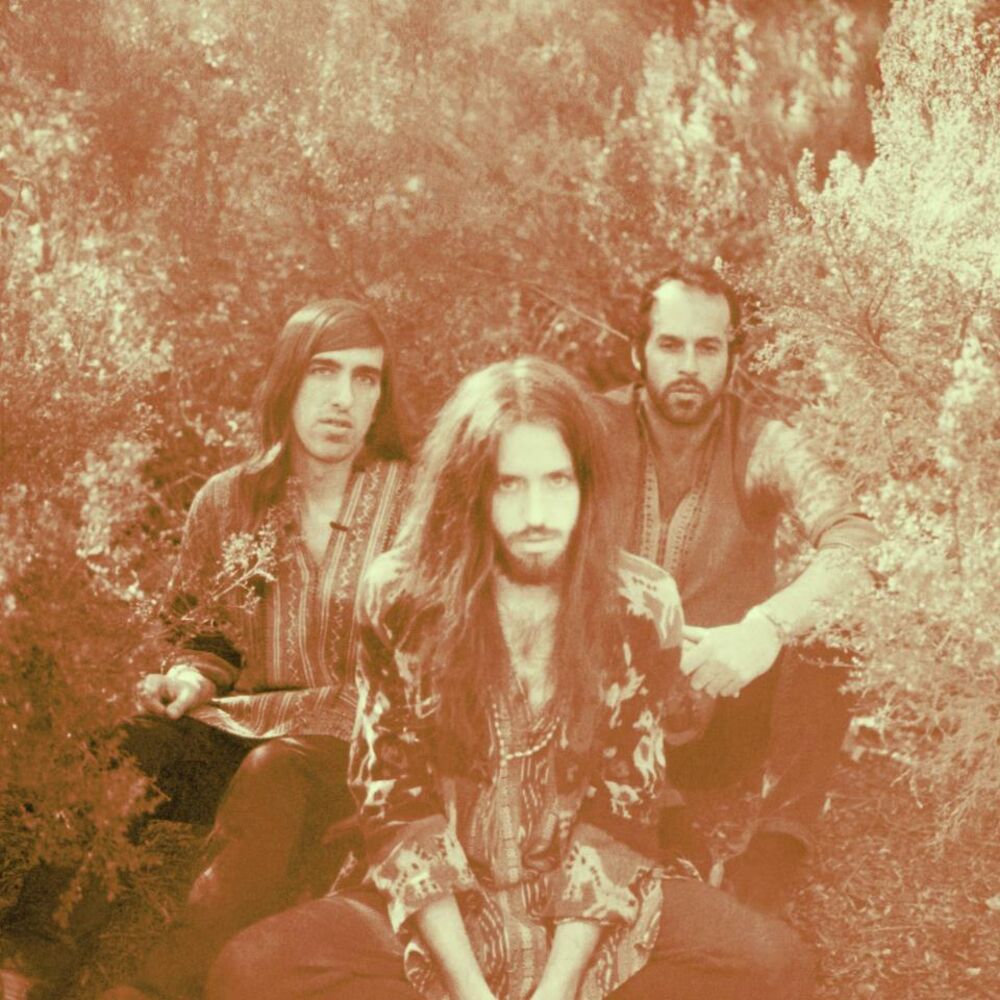 Picture of Crystal Fighters