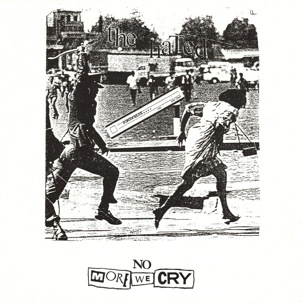 Picture of The Hated