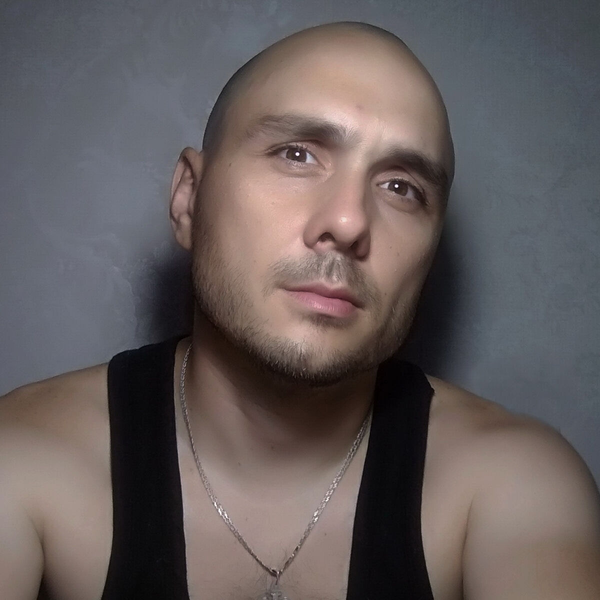 Artist picture of Viksay