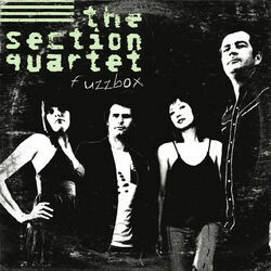 Picture of The Section Quartet