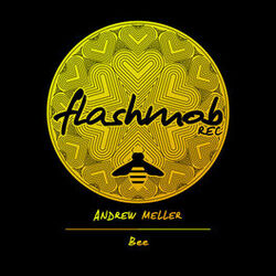 Picture of Andrew Meller