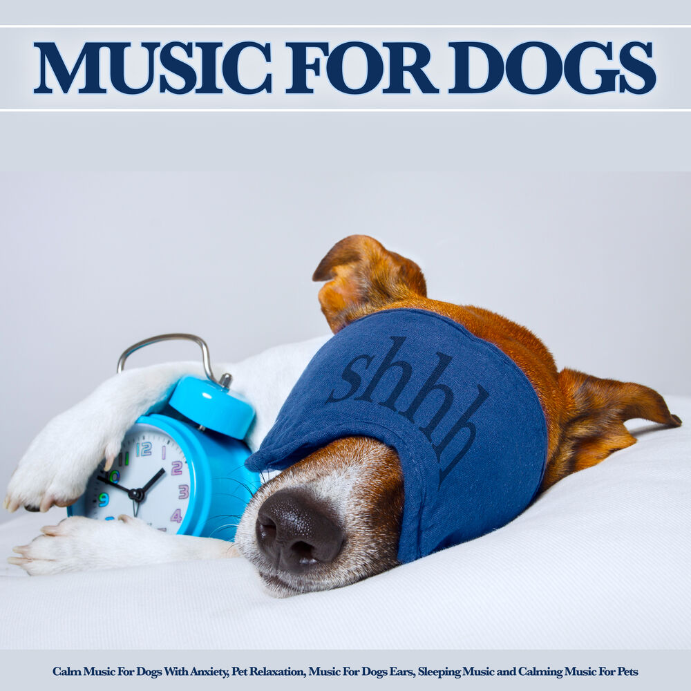 Picture of Music For Dogs With Anxiety