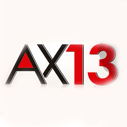 Picture of AX 13