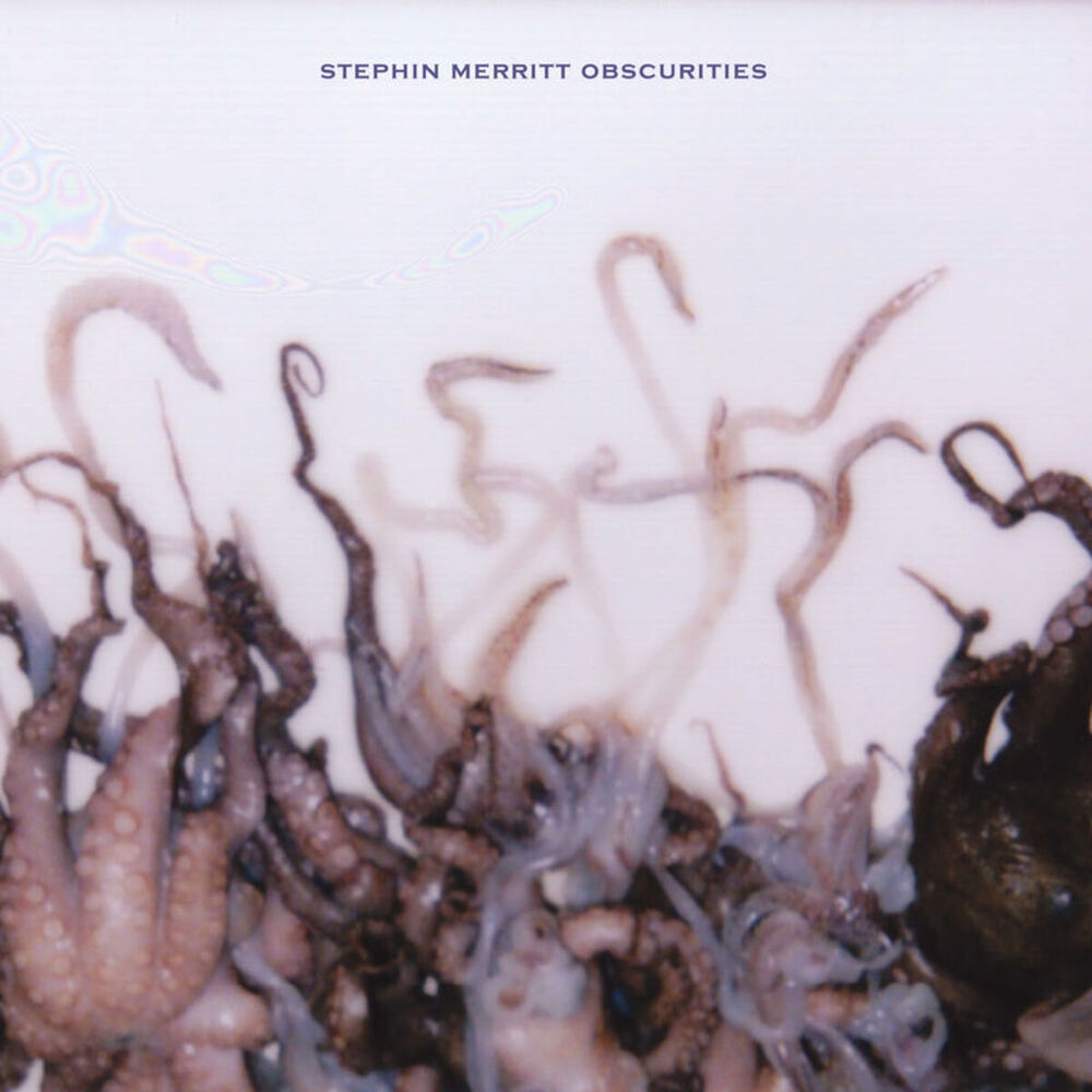 Picture of Stephin Merritt