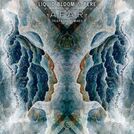 Liquid Bloom