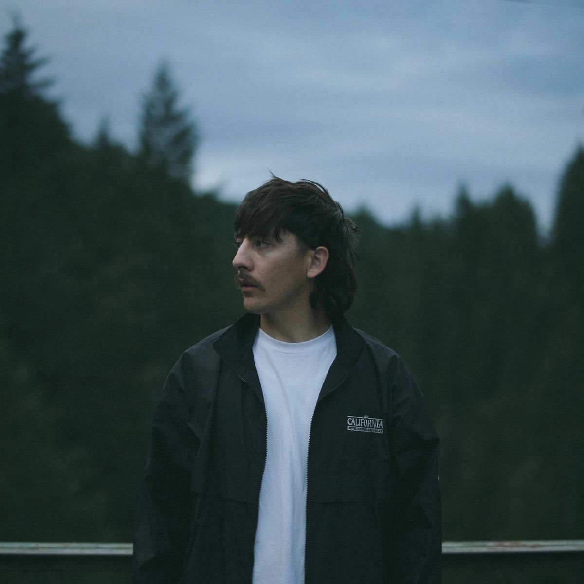 Artist picture of Gavn!