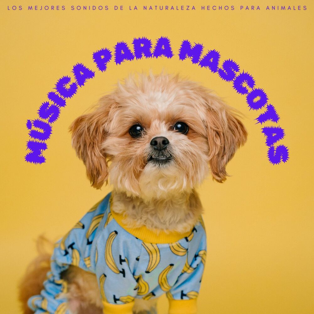 Picture of Perros que se Quedan en Casa