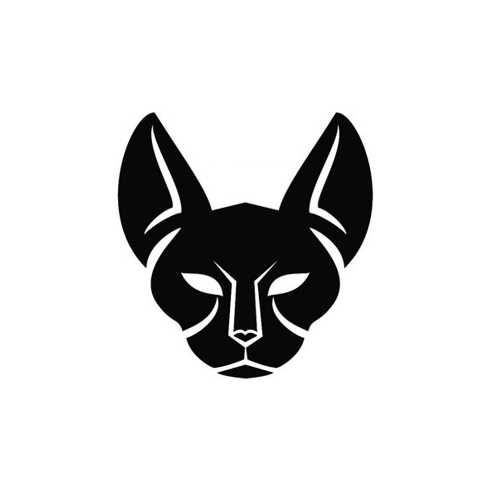 Photo de l'artiste Seumas Norv