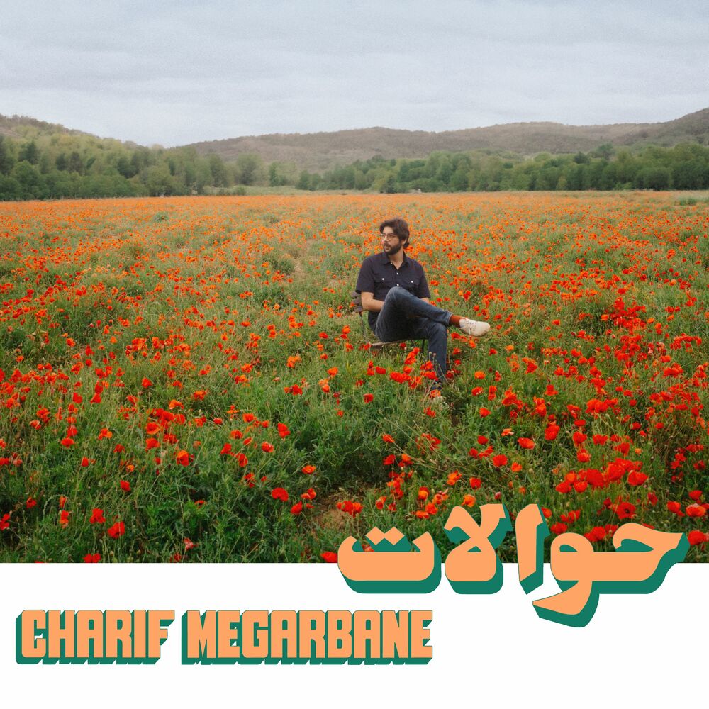 Picture of Charif Megarbane