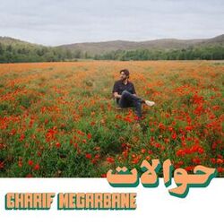 Picture of Charif Megarbane