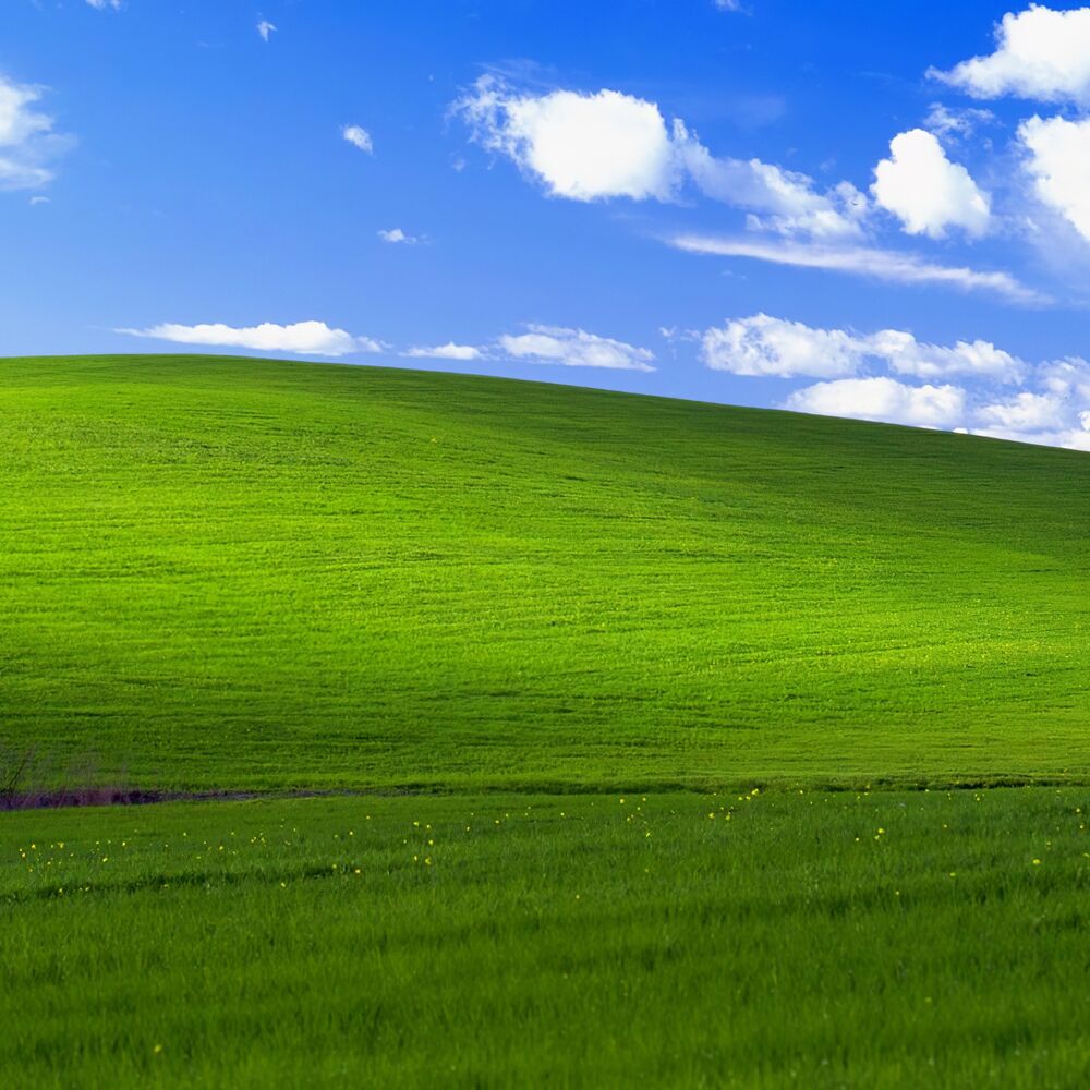 Picture of proloxx
