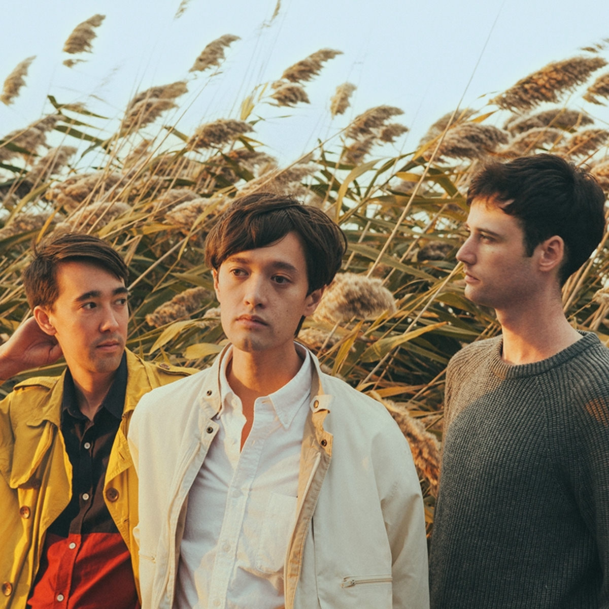 Artist picture of Pop Etc