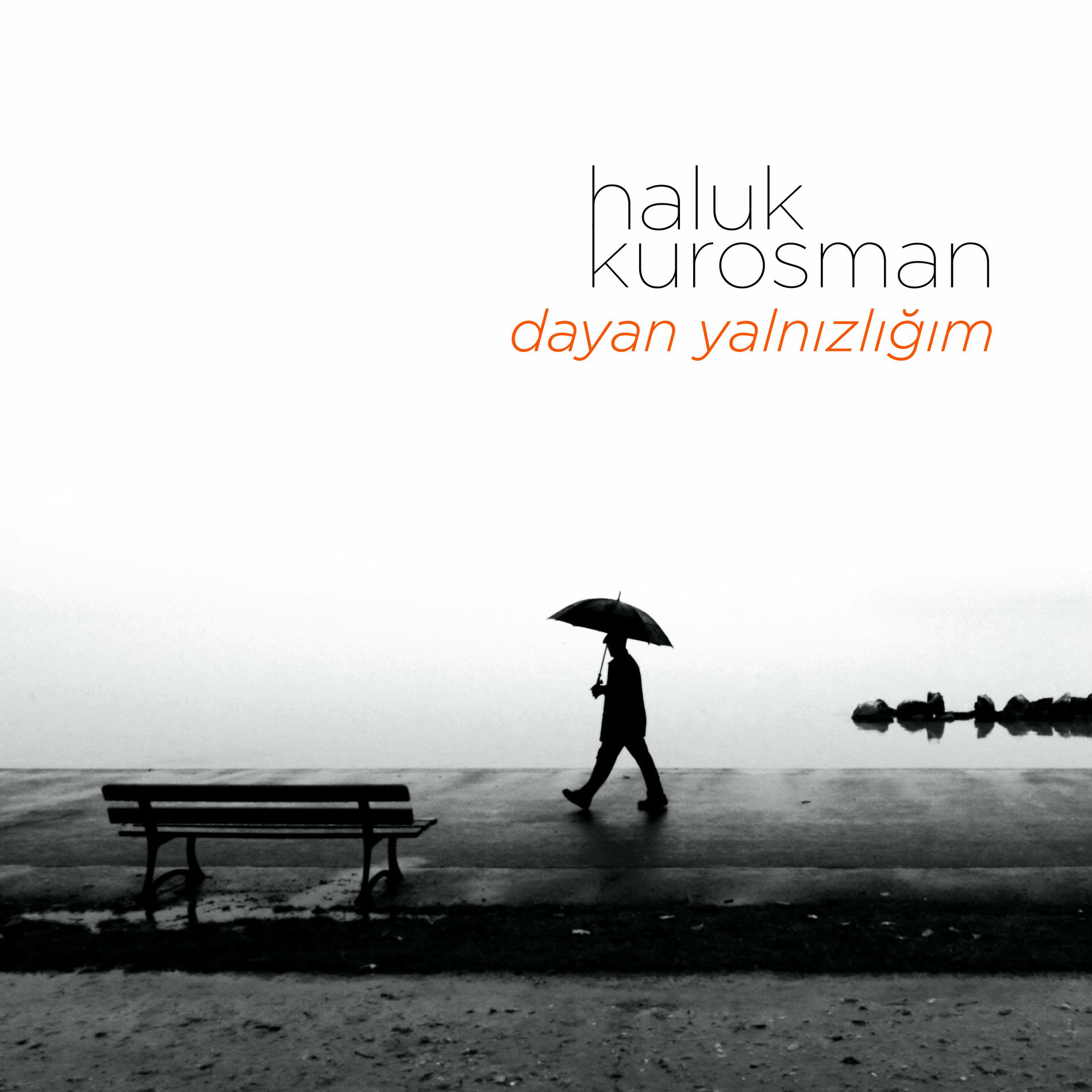 Artist picture of Haluk Kurosman