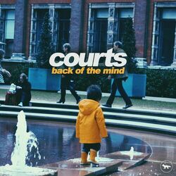 Picture of Courts