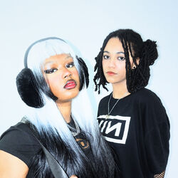 Picture of ALT BLK ERA