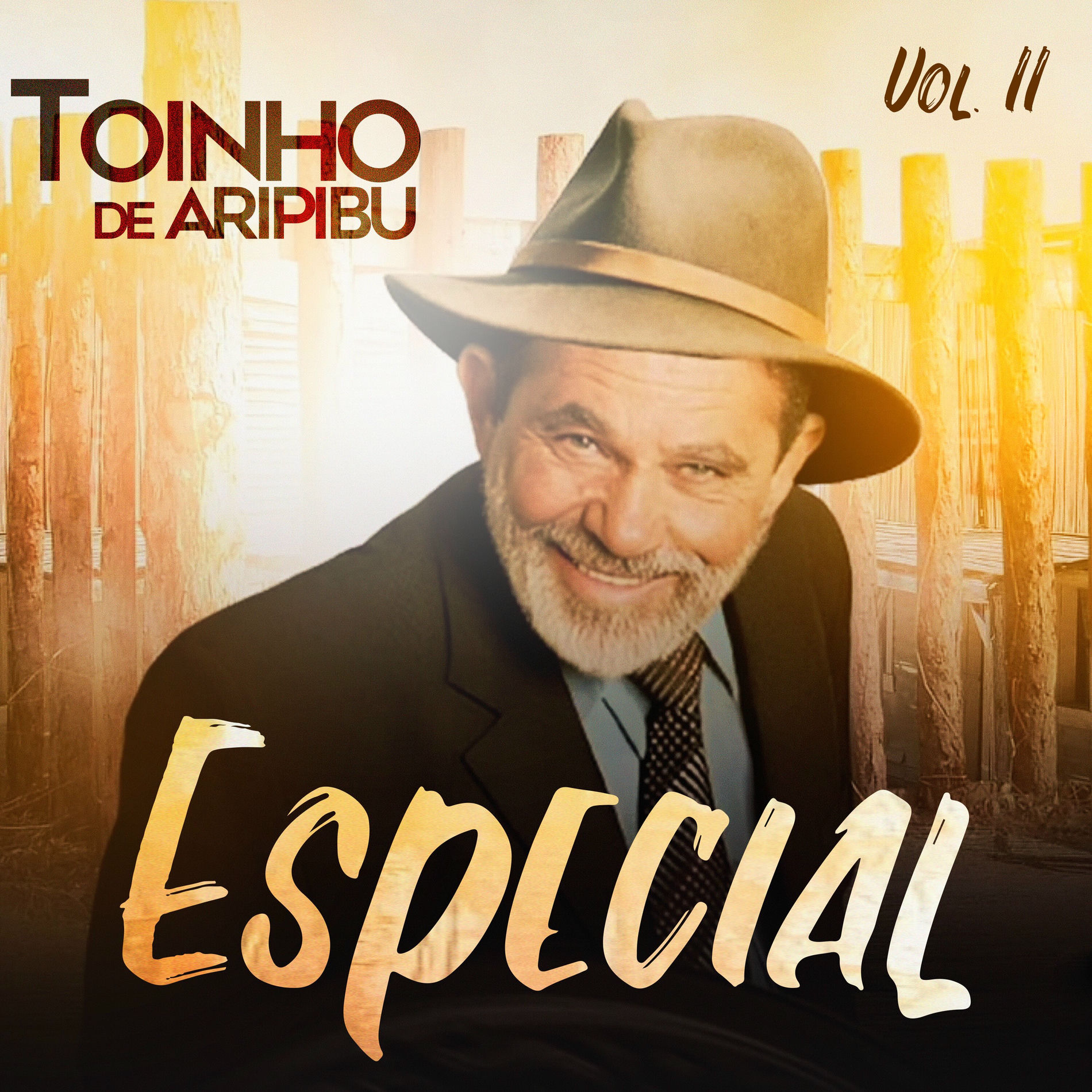 Toinho de Aripibú