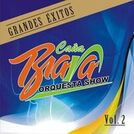 Orquesta Caña Brava