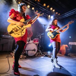 Picture of Hedvig Mollestad Trio