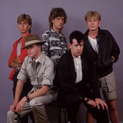 Picture of The Fixx